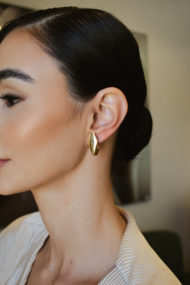 Earhook Pontas