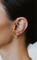 Brinco Earhook Garra