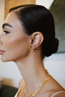 Brinco Earhook Garra