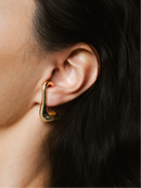 Brinco Earhook Cravejado